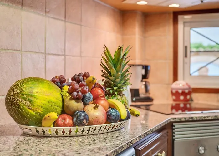 Pintor 度假居 波连萨港